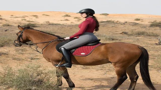 riding sport equestrian wear