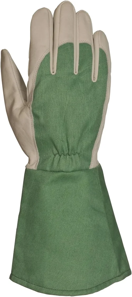 Bellingham WA Sporting Goods Buying Guide 2026