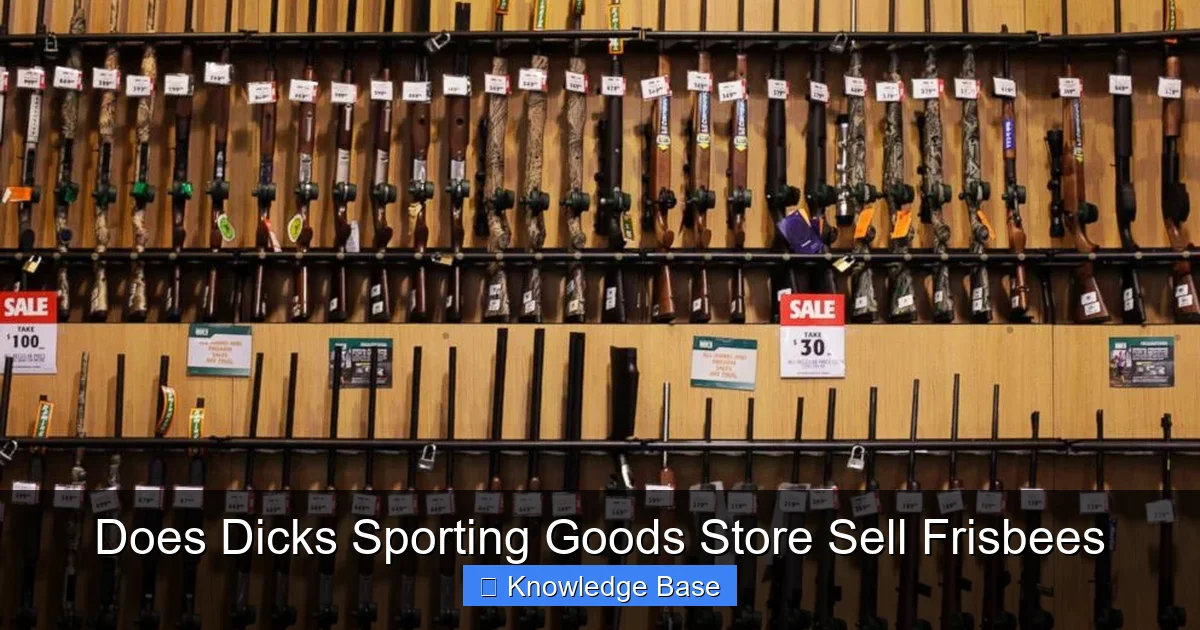 Does Dicks Sporting Goods Store Sell Frisbees