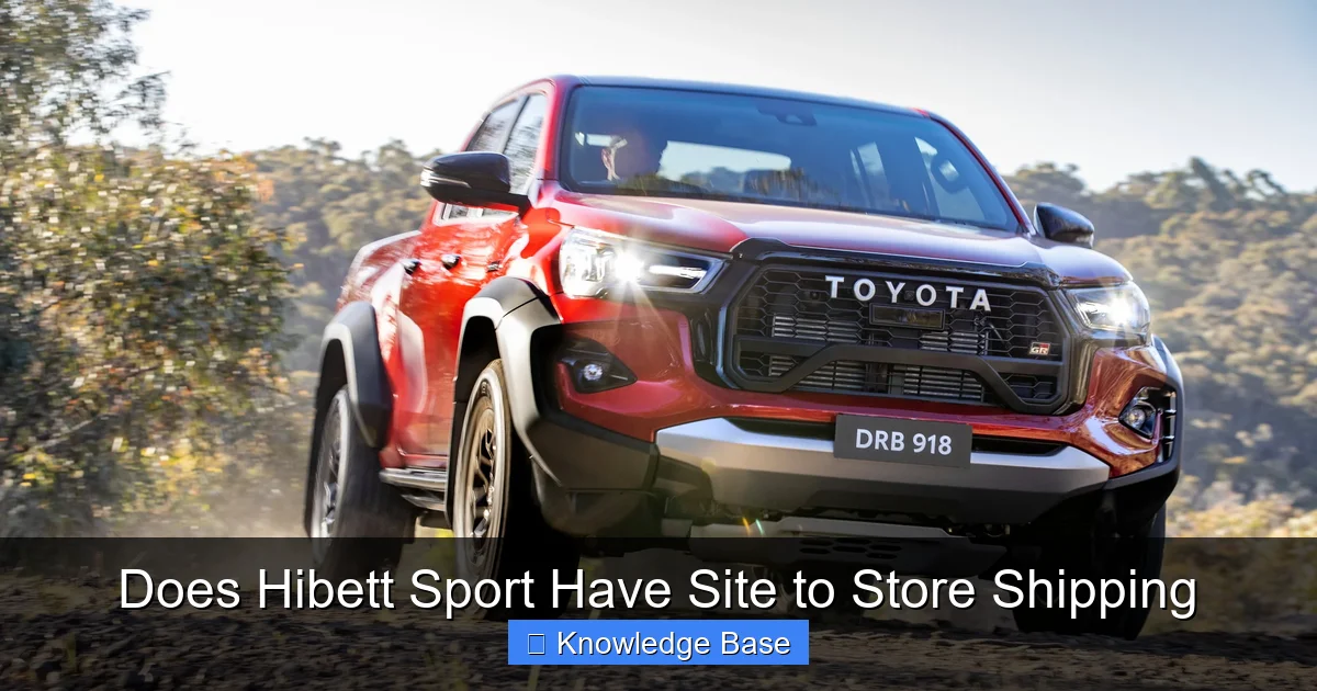 Does Hibett Sport Have Site to Store Shipping