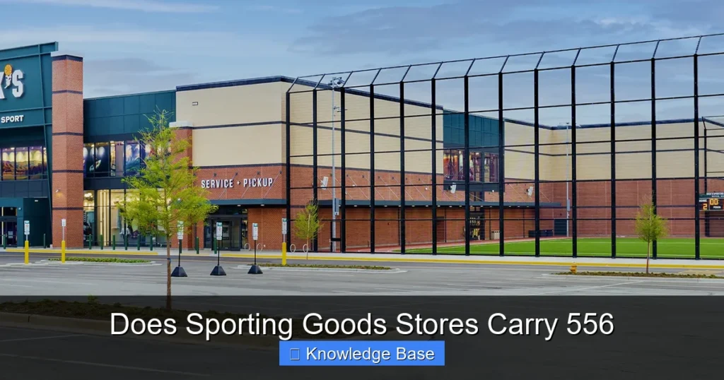 Does Sporting Goods Stores Carry 556