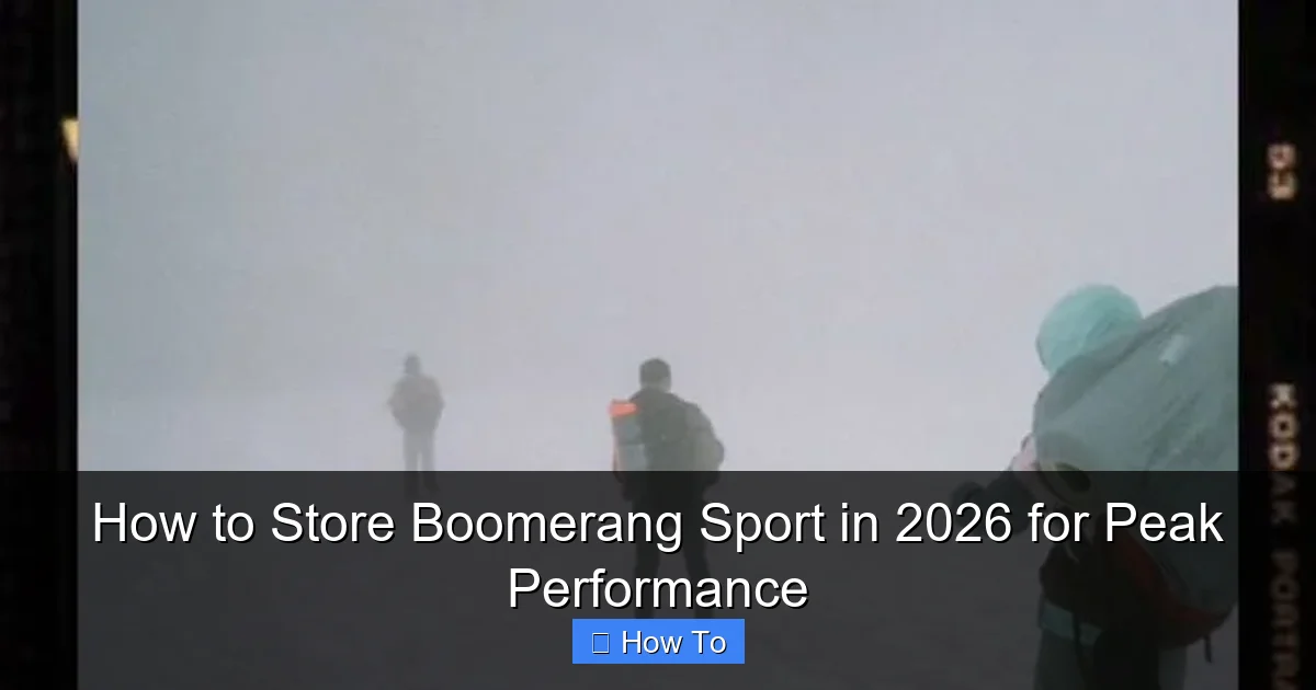 How to Store Boomerang Sport in 2026 for Peak Performance