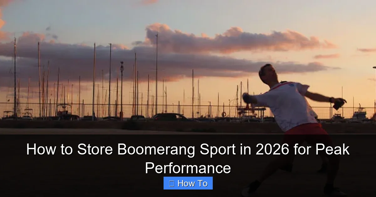 How to Store Boomerang Sport in 2026 for Peak Performance
