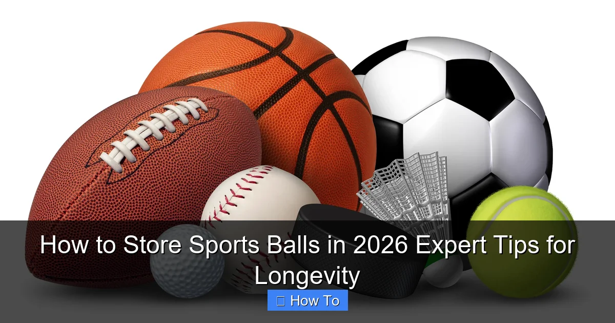 How to Store Sports Balls in 2026 Expert Tips for Longevity