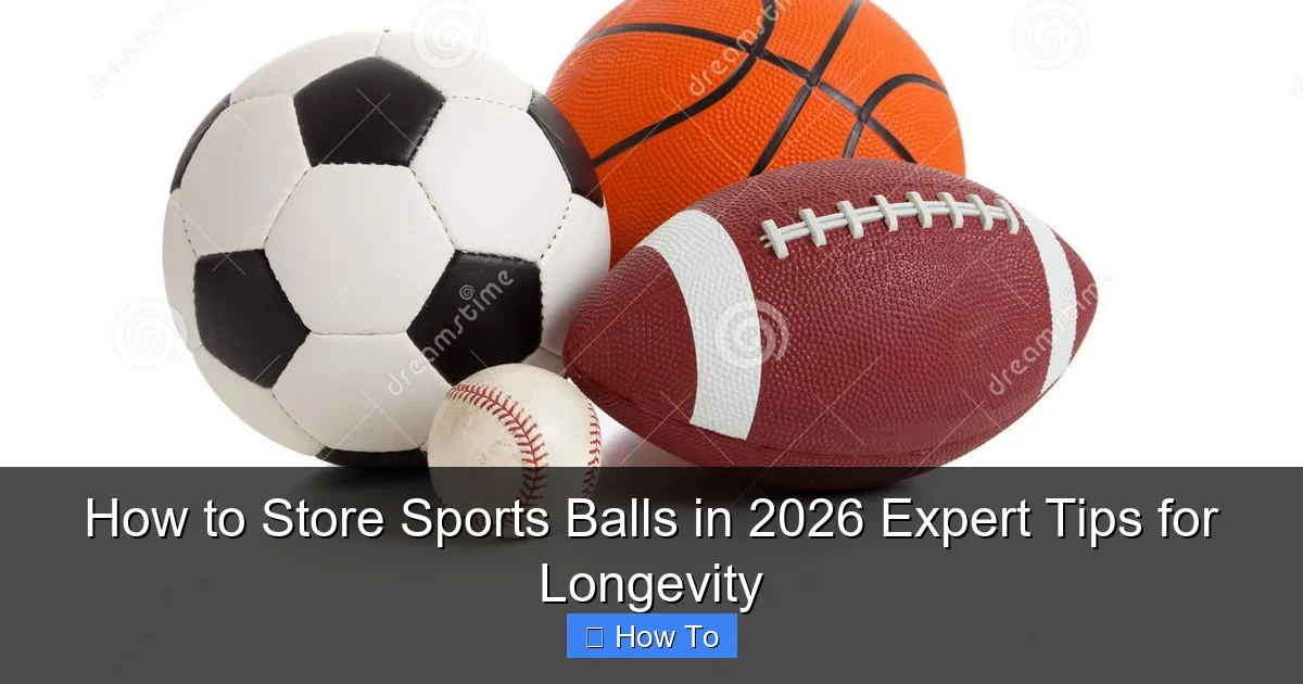 How to Store Sports Balls in 2026 Expert Tips for Longevity