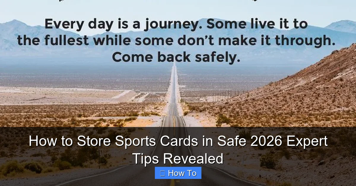 How to Store Sports Cards in Safe 2026 Expert Tips Revealed