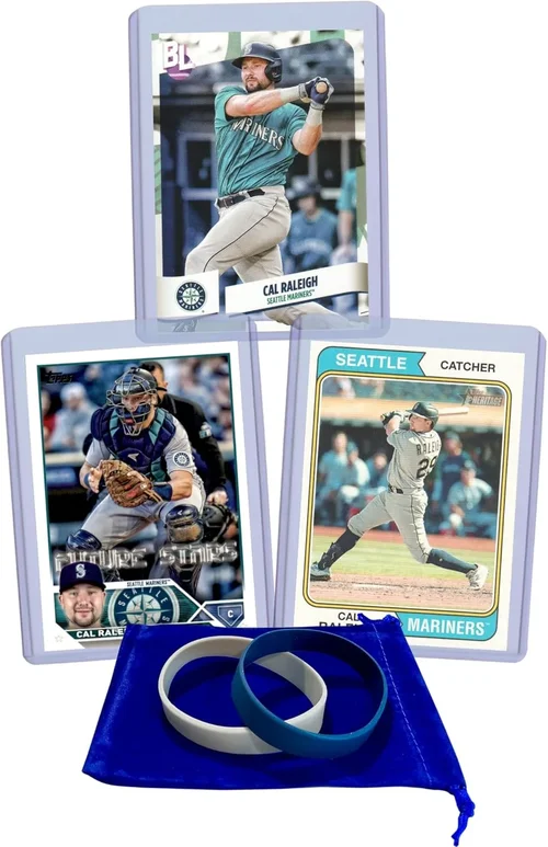 Raleigh Sporting Goods Buying Guide 2026