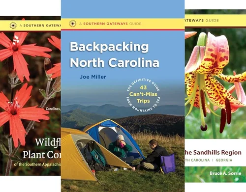 Complete Sporting Goods Stores Guide 2026